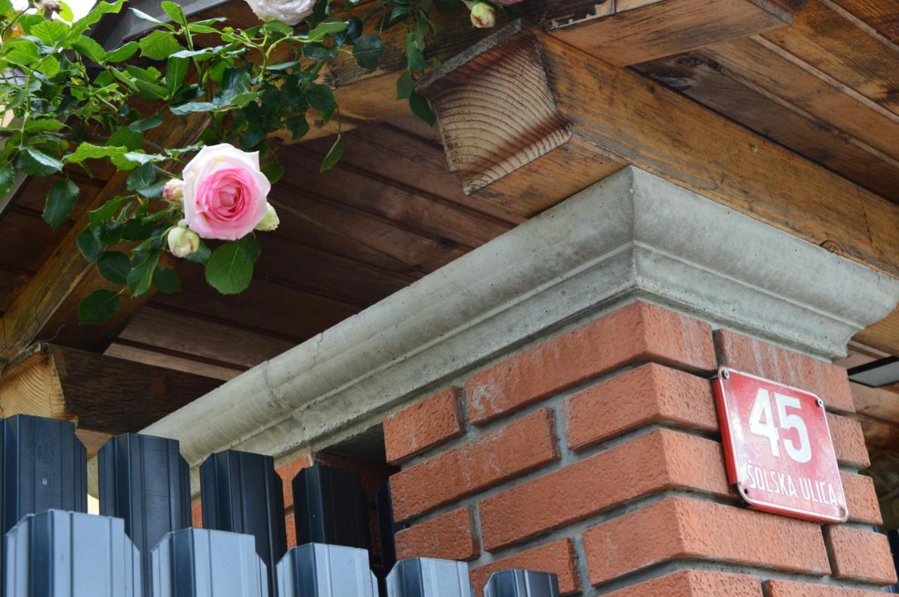 Apartment Kancler Nova Gorica Bagian luar foto