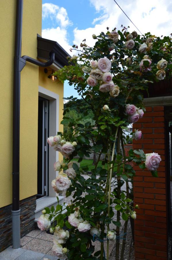 Apartment Kancler Nova Gorica Bagian luar foto